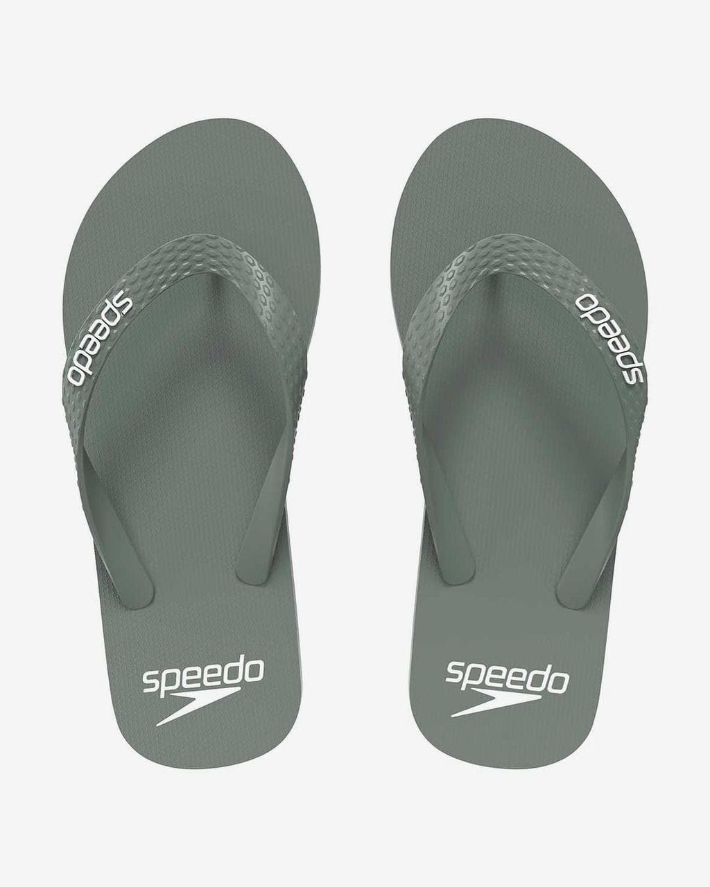 Tongs Speedo Flip Flop AM vert gris - 47