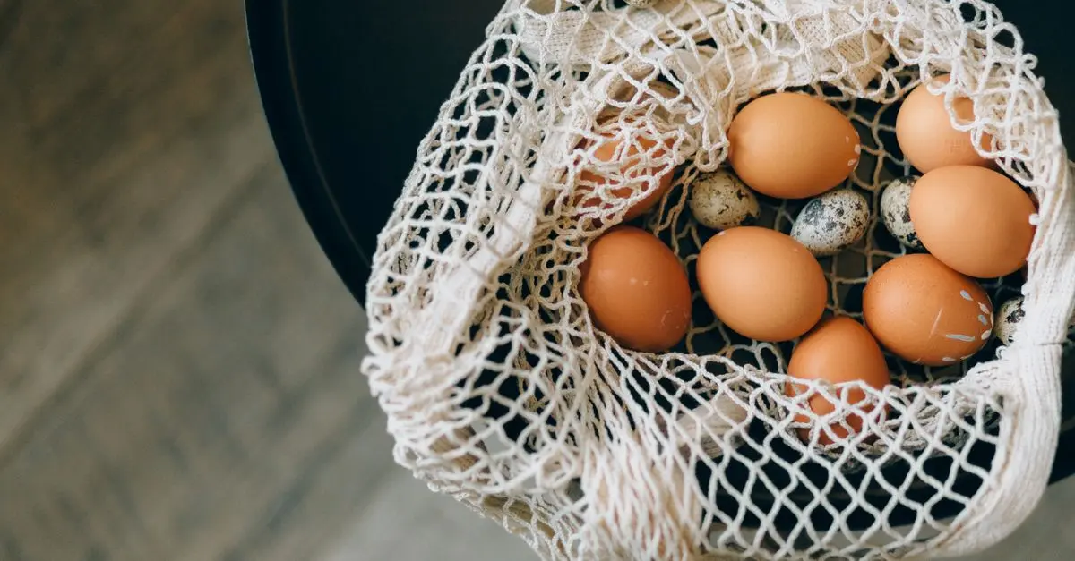 Les meilleurs substituts d'œufs pour cuisiner végan