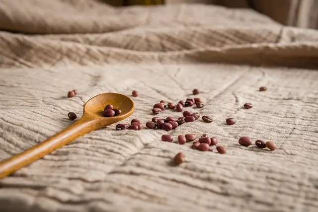 7 recettes véganes riches en protéines pour vos entraînements
